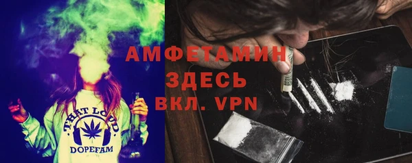 крисы Дмитриев