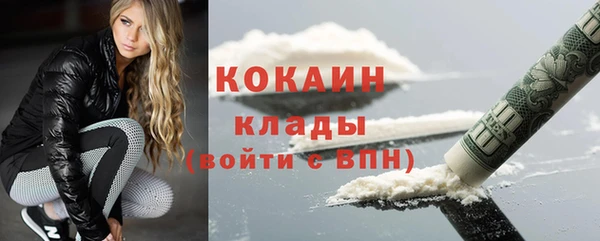 крисы Дмитриев
