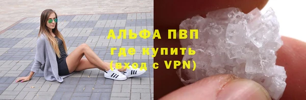 крисы Дмитриев