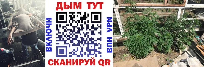 Марихуана SATIVA & INDICA  Плёс 